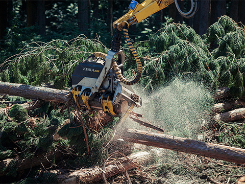 ITとフィールドの融合