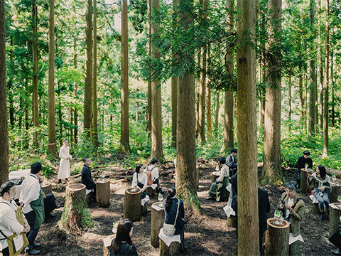 木の使いみちに驚きを